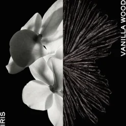 Gentleman Eau de Parfum