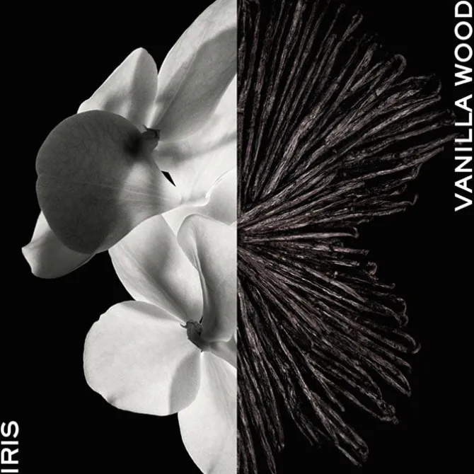 Gentleman Eau de Parfum