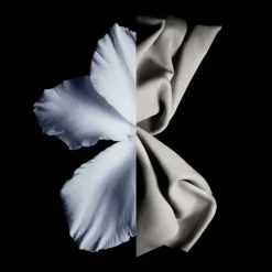 Gentleman Eau de Toilette