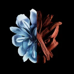 Gentleman Réserve Privée