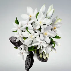 GOOD GIRL Body Cream