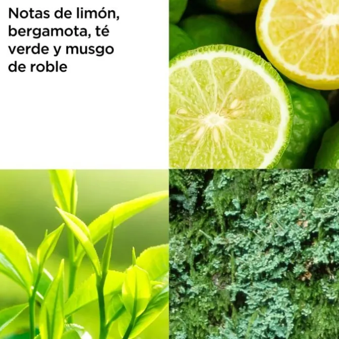 Green Tea Gel de Ducha