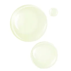 Herboriste Détox Concentré Anti-Capitons