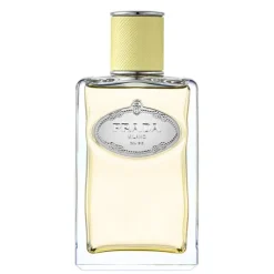 Infusion de Gimgembre