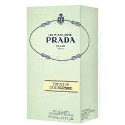 Infusion de Gimgembre