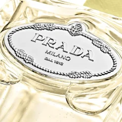 Infusion de Gimgembre