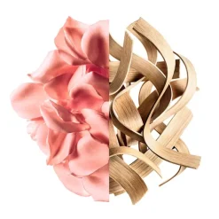 Irresistible Rose Velvet