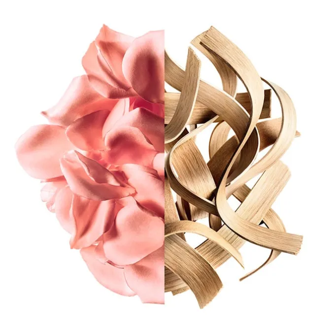 Irresistible Rose Velvet