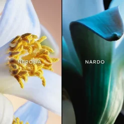 Jardins de Bagatelle