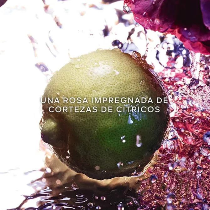 La Petite Robe Noire EDT