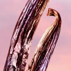 LA VIE EST BELLE VANILLE NUDE