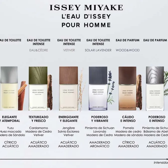 L'EAU D'ISSEY POUR HOMME EAU DE PARFUM