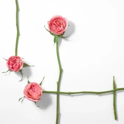 L'EAU D'ISSEY ROSE & ROSE