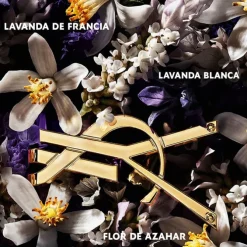 LIBRE L'ABSOLU PLATINE