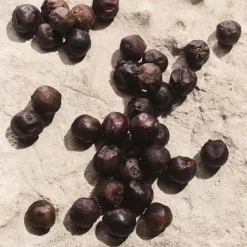 LIGHT BLUE CAPRI IN LOVE Pour Homme