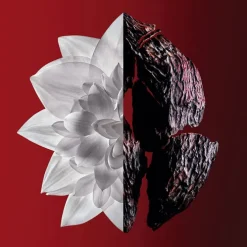 L'Interdit Rouge Ultime