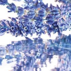 Mon Guerlain EDP Estuche