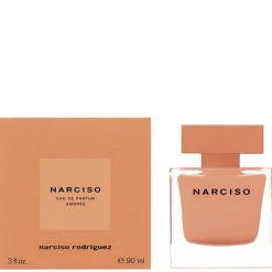 NARCISO AMBRÉE