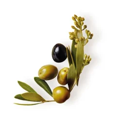 Oliva Mítica Aceite