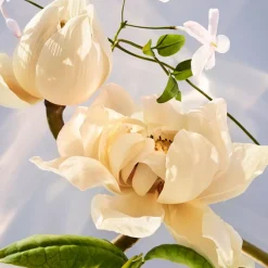 Omnia Crystalline EDP