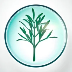 Powercell Night Rescue Crema