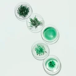 Powercell Skinmunity Esencia