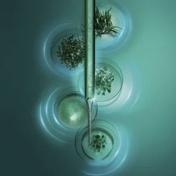 Powercell Skinmunity Eye Care