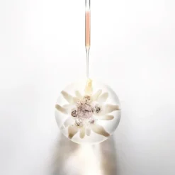 Prodigy Cellglow Eye Cream