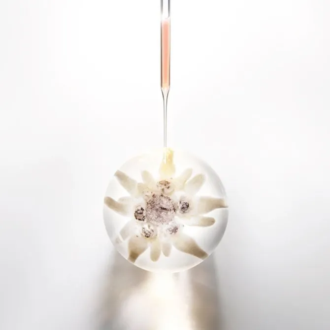 Prodigy Cellglow Eye Cream