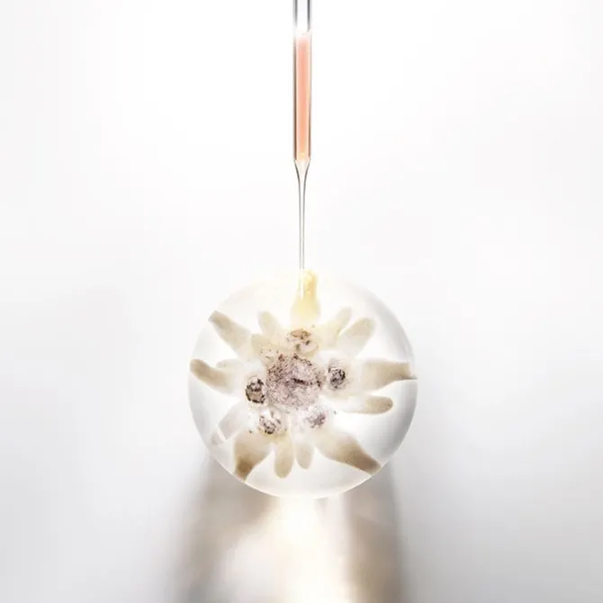 Prodigy Cellglow Radiant Regenerating Cream