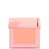 Pure Mineral Compact Blush
