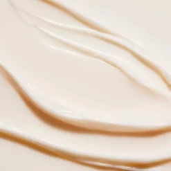 PURE SHOTS Perfect Plumper Nutri-Crème