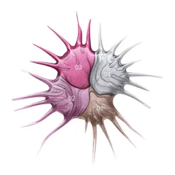 Satin Chrome Esmalte de Uñas