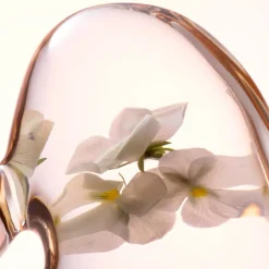 Softening Perfecting Toner