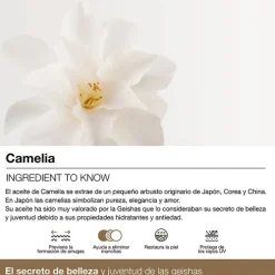 SPLENDOR 10 NOCHE REGENERADOR TOTAL