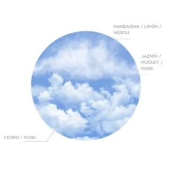 Spray Tejido Clásico