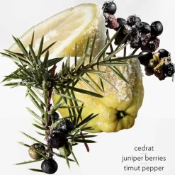 Terre d'Hermès Eau Givrée