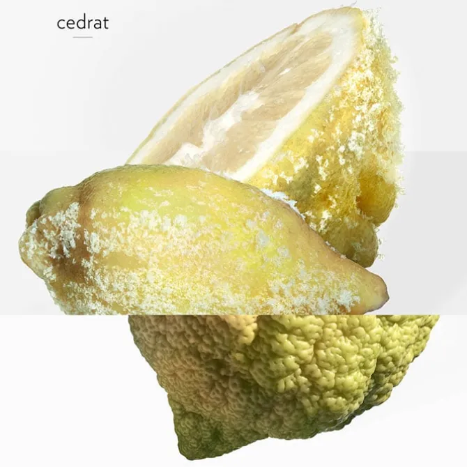 Terre d'Hermès Eau Givrée