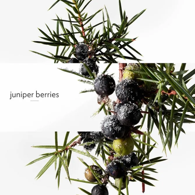 Terre d'Hermès Eau Givrée