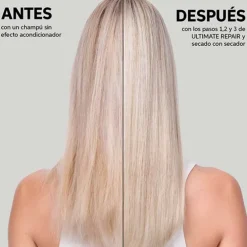 Ultimate Repair Protective Leave-In