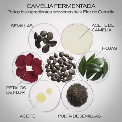 Ultimune Power Infusing Serum 4.0