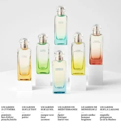 Un Jardin à Cythère