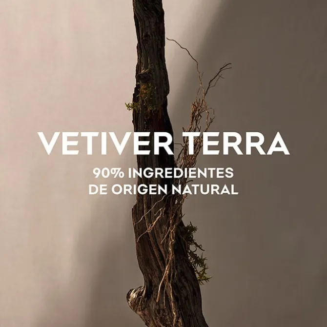 Vetiver Terra