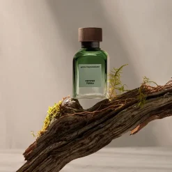 Vetiver Terra