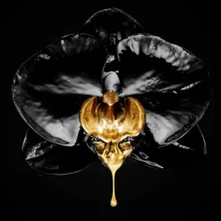 Volume Million Lashes Extra-Black