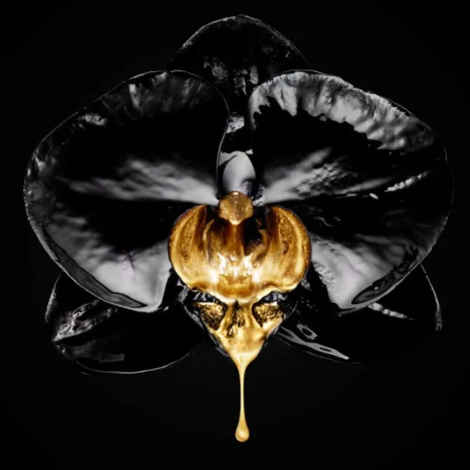 Volume Million Lashes So Couture