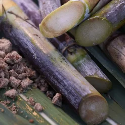 Waso Satocane Pore Purifiying Scrub Mask