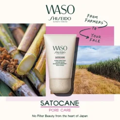 Waso Satocane Pore Purifiying Scrub Mask