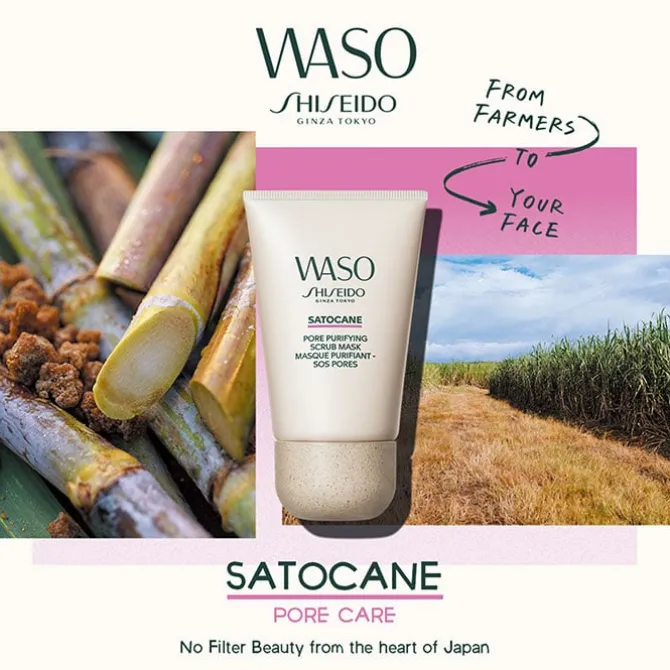 Waso Satocane Pore Purifiying Scrub Mask