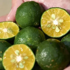 Waso Shikulime Gel-to-Oil Cleanser